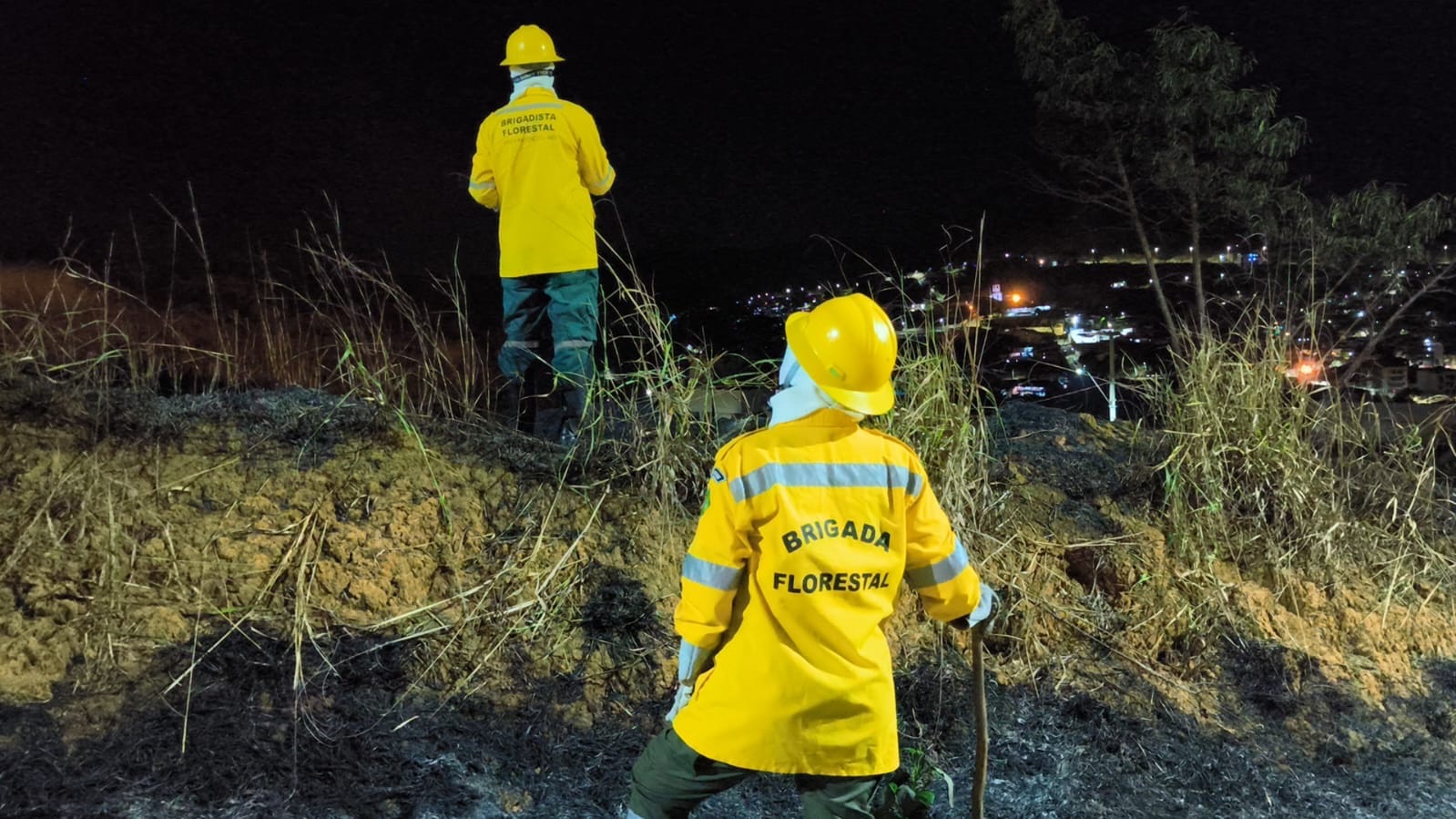 Brigada Florestal debela incêndio em área de vegetação no bairro Centenário, em Nova Era
