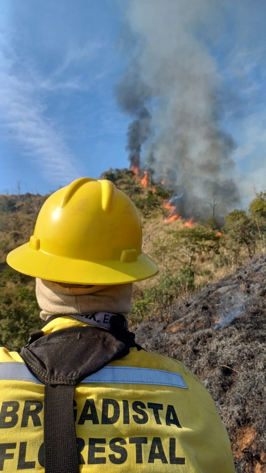 BRIGADA FLORESTAL CONTROLA INCÊNDIO EM NOVA ERA!