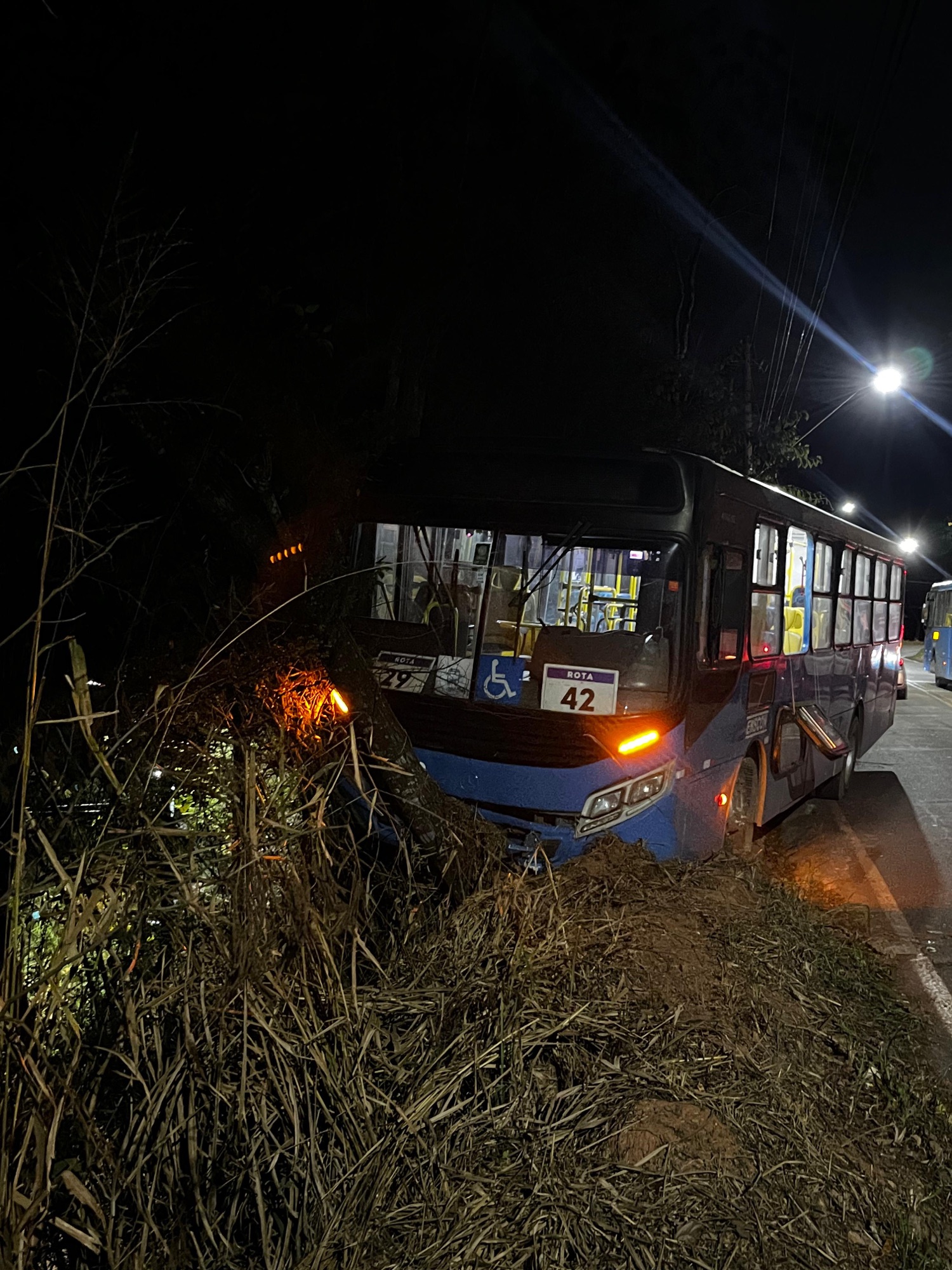 ÔNIBUS ESCOLAR DA EMPRESA ENSCON COM CRIANÇAS DENTRO COLIDE EM UMA ARVORE E ACIDENTE QUASE TERMINA EM TRAGÉDIA