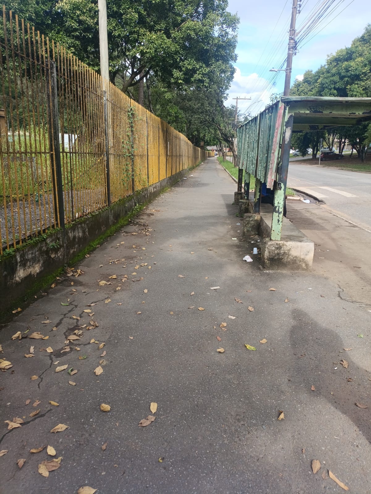 Revitalização da pista de caminhada e ciclovia da avenida Wilson Alvarenga começa na próxima semana